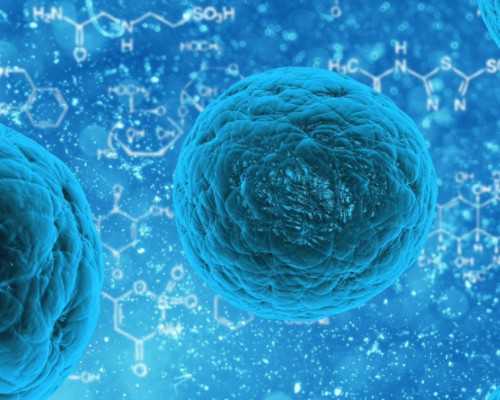 中国供卵医院有几家,精子的发生分为哪几个阶段，精子发生主要经历了哪几个阶段