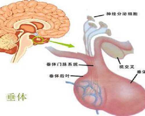 国内可以供卵的私人医院,为什么做三代试管婴儿*后的胎停率那么高？这5大因素在作怪！