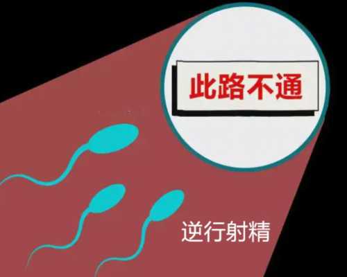 中国代孕多少钱,国内三代试管婴儿借卵*子结构哪家强